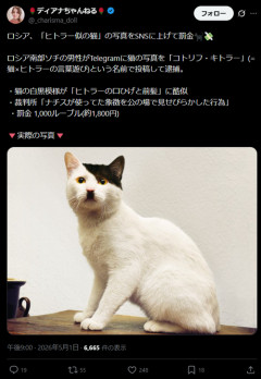 【画像】ロシア人「この猫ちゃんヒトラーに似てる！(ﾊﾟｼｬｯ」→逮捕されるｗｗｗｗ