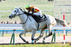 【競馬予想】[4]第173回天皇賞(春)(GⅠ) 2026