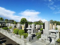親が亡くなって半年経ってるんだけど未だに辛い