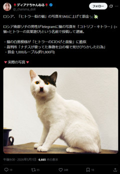 【画像】ヒトラーにそっくりな猫をSNSあげた人逮捕される…