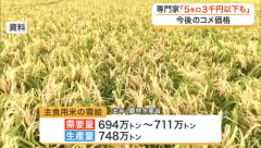 【悲報】米問屋「米が売れないから値下げしないと次の仕入れができない！」