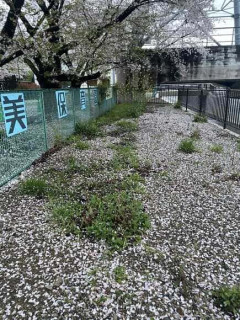 【画像】ワイ、早朝徘徊をする