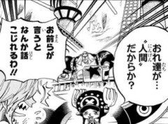 ワンピって小ボケの方が面白いことあるよね