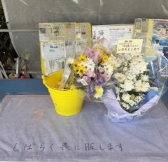 【悲報】沖縄県民「天国から『辺野古の抗議活動を続けて』と二人が言ってるのが聞こえる」wwwwwwwwww