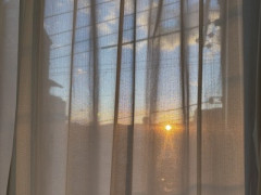 【悲報】うつ病ワイの平均的な1日のスケジュール、めちゃくちゃ