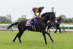 【悲報】社台ファーム吉田照哉さん、天皇賞・春を2400mに短縮してキングジョージのステップにしろと提案してしまうｗｗｗｗｗｗｗｗｗｗ