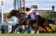 【競馬予想】[5]第173回天皇賞(春)(GⅠ) 2026