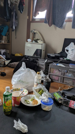 【画像】明日甥っ子と姪っ子泊まりに来るのに部屋が片付いてない