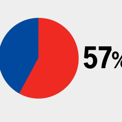 憲法改正「賛成」５７％…読売世論調査   |  5ちゃんは左翼多いなぁ