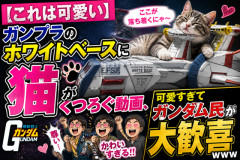 【これは可愛い】ガンプラのホワイトベースに猫がくつろぐ動画、可愛すぎてガンダム民が大歓喜ｗｗｗ