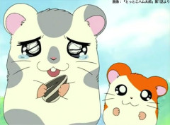 【悲報】こうしくん、ハム太郎に「それが現実なのだ」と突き放されてしまう