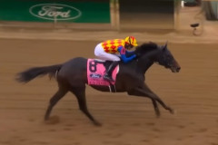 【チャーチルダウンズS】テーオーエルビス、アメリカG1圧勝強すぎワロタ
