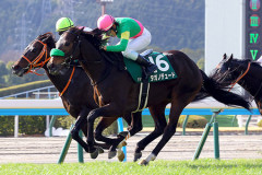 タガノデュード、レーン騎手に乗り替わり