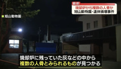 【悲報】旭山動物園の焼却炉の灰から複数の人骨と見られるもの見つかる