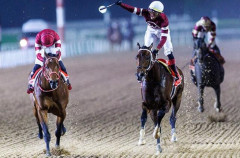 引退競走馬、年間7000頭　ほぼ行方不明に…   肉🥩か？