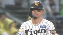 【神っテル】佐藤輝明(阪神)さん12冠王 完全制覇wwwwwwww