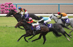 【天皇賞･春】クロワデュノール強すぎワロタ