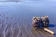 【悲報】茨城県の潮干狩り、『地獄の海岸』と化してしまう・・・