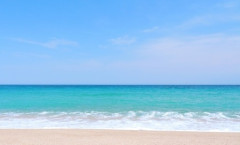 【若者の海離れ】「海は平成の香り」20代の海離れが深刻…若者が森へ向かう理由とは？