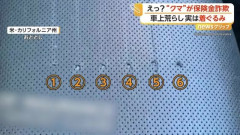 「熊に高級車を荒らされた！」と保険金請求→爪痕が6本爪で嘘がバレるｗｗｗｗｗｗｗｗｗｗｗ