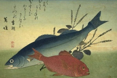 江戸時代の魚の格付けｗｗｗ