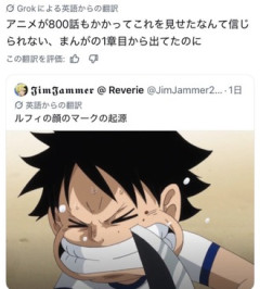 アニメ勢にとってルフィの目の下の傷って今まで謎だったのか…