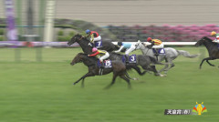 【天皇賞春】アドマイヤテラはなぜ勝てなかったのか