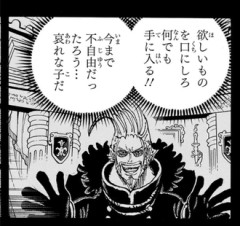 【ワンピース】父親としては当たりなんだけどな
