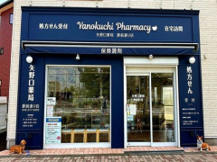 【悲報】薬剤師「あきまへんって…」6月の診療報酬改定によって病院横にボコボコ生えてくる薬局が終わる件