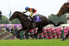 クロワデュノール吉田俊介代表　凱旋門賞をリベンジ示唆
