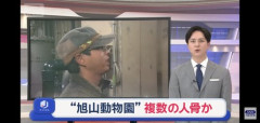 【悲報】旭山動物園さん、焼却炉から複数の人骨が見つかってしまう・・・・・・・・・