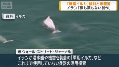 イランが爆発物を装着した「機雷イルカ」の投入検討…駐日イ大使館が報道をフェイクと反論！