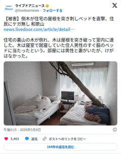 【画像】和歌山の住宅さん、裏山の倒木に屋根を突き破られベッド直撃されてしまう