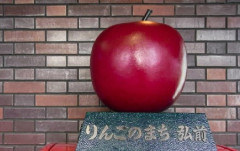 【遠距離恋愛】彼女に会うために埼玉から青森まで行ったらブロックされたんだが