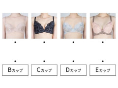 【画像】男が思うAカップはCカップで、Cカップだと思ってるのはFカップということが判明