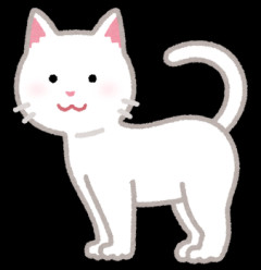 【修羅場】旦那の元嫁が置いていった猫の病気が治り、暴君だった性格も穏やかになった。それを知った元嫁→「あんな可愛い猫だと思わなかった！私が拾った猫だから寄越