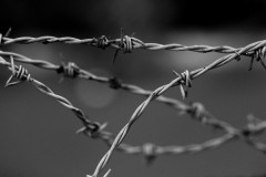 【閲覧注意】「死体は有刺鉄線で巻いて海に沈めると完全犯罪成立」⇒結果ｗｗｗ