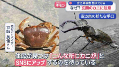 なぜ？　GWに空き巣急増　「玄関に生きたカニ」新手口も