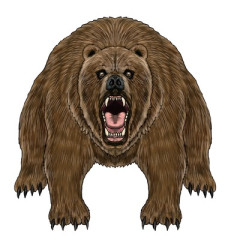 秋田・由利本荘市で田んぼの見回りしていた男性がクマに襲われけが