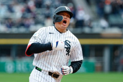 村上宗隆、月間MVPにも月間最優秀新人にも選出されず