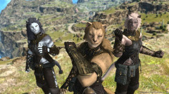 【FF14】漆黒フリトラ化でヴィエラ女性、ロスガル男性だけが開放かと思ったらまさかの全種族キャラメイクが可能に！暁月実装のヴィエラ男性と黄金実装ロスガル女性もできるぞ！