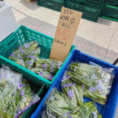 【画像】近所のグエンさんがやってる八百屋、安すぎて今日も大盛況