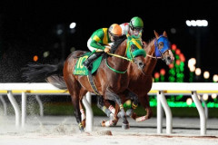 【かしわ記念】ウィルソンテソーロ強すぎワロタ
