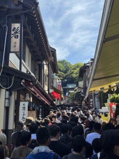【悲報】GWの江ノ島、限界突破ｗｗｗｗｗｗｗｗ