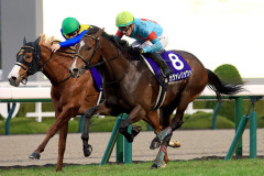 【競馬予想】[1] 第31回NHKマイルカップ(GⅠ) /2026