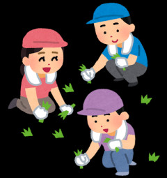ガルちゃん🌿草むしり部　～2026初夏～