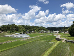【画像】こういう田舎住んでるやつｗｗｗｗｗｗｗｗｗｗｗｗ
