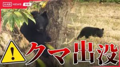 【秋田】由利本荘市で田んぼの見回りしていた男性がクマに襲われけが