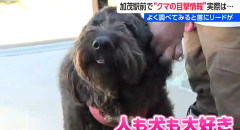 駅前で 「クマを目撃した」との通報があり騒ぎに →  大きい黒い犬だったｗｗ　新潟県加茂市