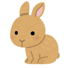 【ドン引き】彼氏がうさぎを持って家にやって来て、突然すぎて驚いたけど仕方なく私が飼うことにした。飼い出して半年経った頃、彼氏からありえないことを言われて…